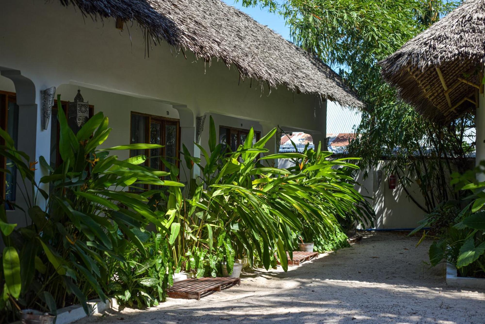 Badolina Bungalows 南威 外观 照片